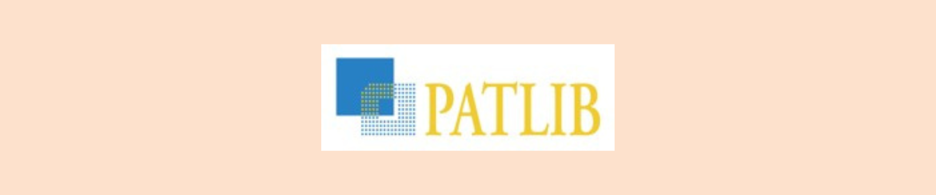 PatLib: incontri one-to-one
